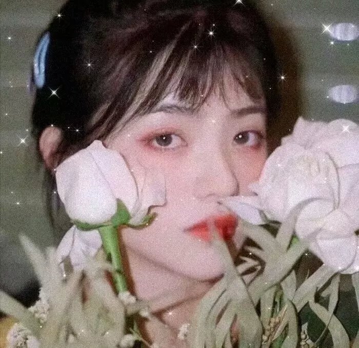 侠女传奇国语
