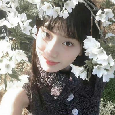 水栖家族